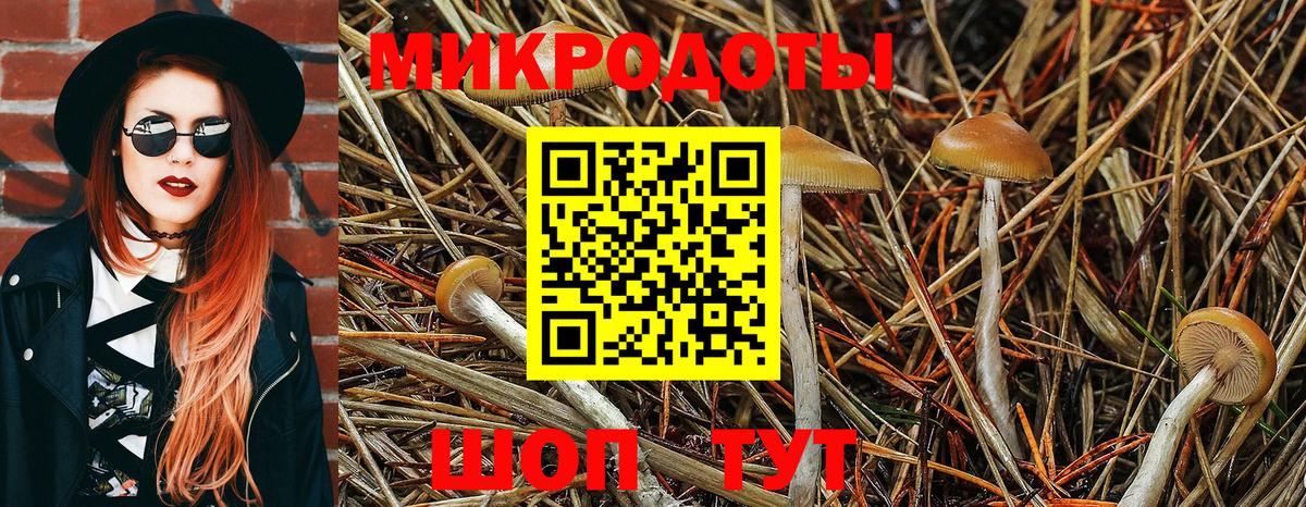 Псилоцибиновые грибы мицелий Трёхгорный