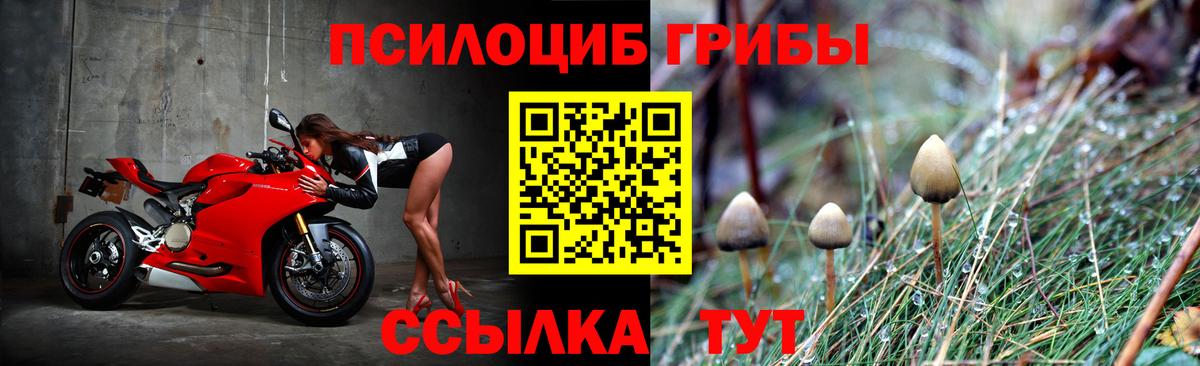 Псилоцибиновые грибы мухоморы  Псилоцибиновые грибы MAGIC MUSHROOMS  Вход с VPN  Трёхгорный 